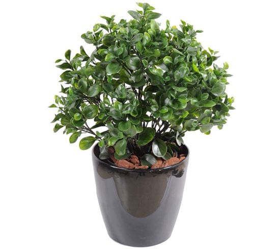 Plante artificielle haute gamme Spécial extérieur / Peperomia artificiel vert - Dim : 60 x 55 cm