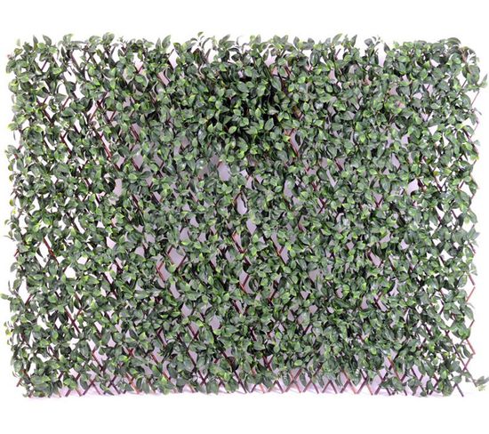 Plante artificielle haute gamme Spécial extérieur / CHARME PF PALISSADE - Dim : 100 x 200 cm