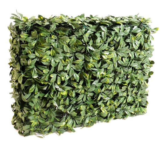 Plante artificielle haute gamme Spécial extérieur / Cornouiller artificiel HAIE - Dim : 75 x 32 cm