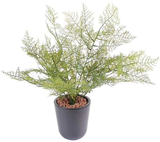 Plante artificielle haute gamme Spécial extérieur / Asparagus artificiel - Hauteur : 50cm