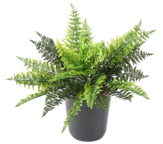 Plante artificielle haute gamme Spécial extérieur / Fougere artificielle - Dim : 40 x 40 cm