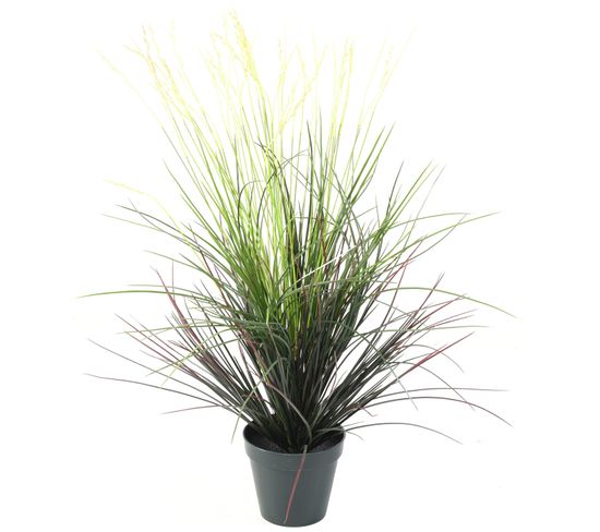 Plante artificielle haute gamme Spécial extérieur / Graminee artificielle - Dim : 80 x 50 cm