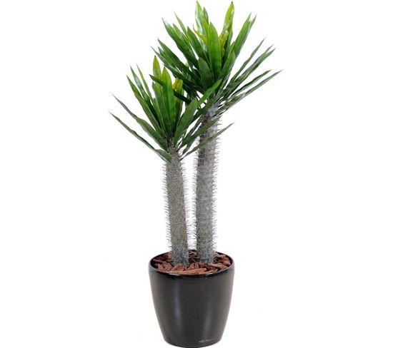 Plante artificielle haute gamme Spécial extérieur / Pachypodium artificiel - Dim : 100 x 50 cm