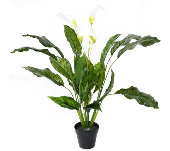 Plante artificielle haute gamme Spécial extérieur / SPATHIPHYLLUM Artificiel - Dim : 90 x 80 cm