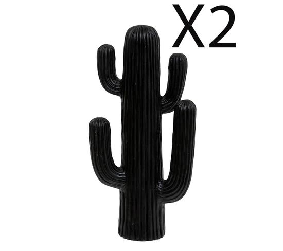 Lot De 2 Cactus Décoratifs, Décorations D'extérieur Coloris Noir -  L. 28 X P. 14,5  X H. 57  Cm