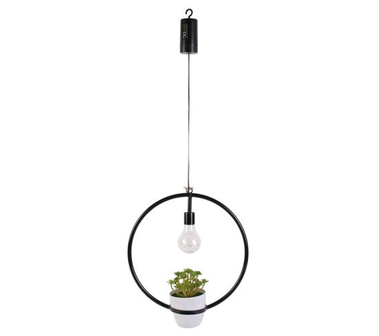 Suspension LED Décorative Avec Plante Garden - H. 35 Cm - Noir