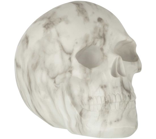 Crâne Gris Résine 23x15x20 cm