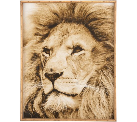Tableau Lion Marron Bois 81x4,5x100cm