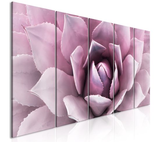 Tableau Agave (5 Parts) Narrow Pink 200 X 80 Cm Rose