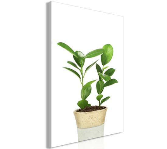 Tableau Plant In Pot (1 Part) Vertical 60 X 90 Cm Blanc