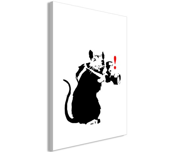 Tableau Rat Photographe (1 Partie) Vertical 40 X 60 Cm Blanc