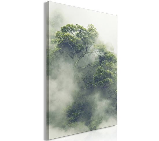 Tableau Foggy Amazon Vertical 80 X 120 Cm Vert
