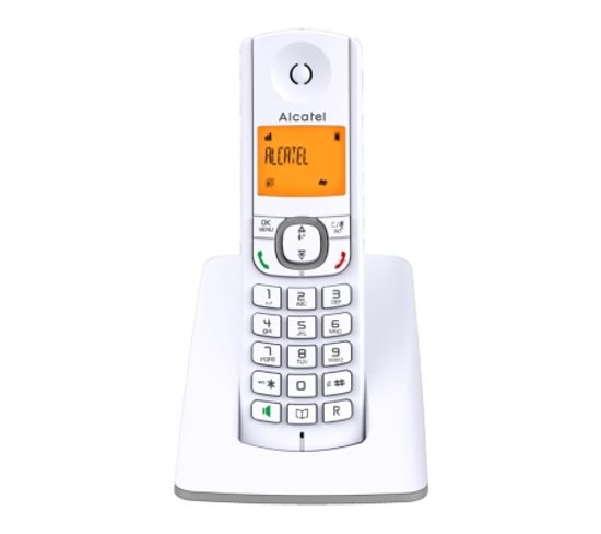 Téléphone sans fil ALCATEL F530 Gris