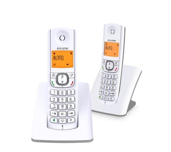 Pack téléphone sans fil ALCATEL F530 Duo Gris