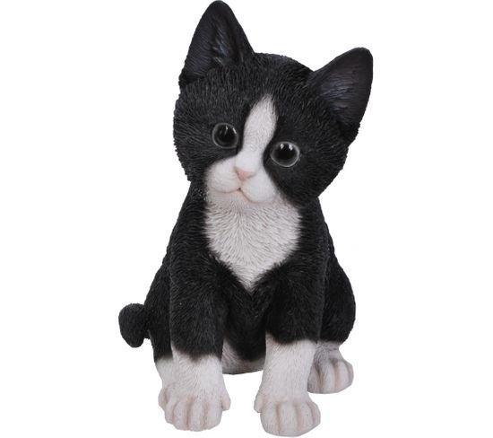 Chaton En Résine 20 Cm Kitten Noir Et Blanc