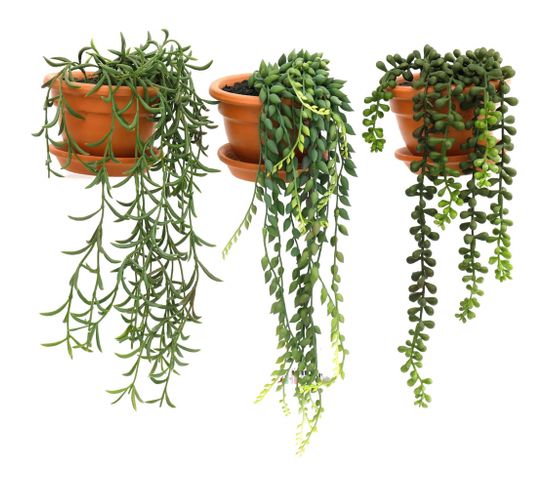 Plantes Artificielles En Pot Terracotta (lot De 3)