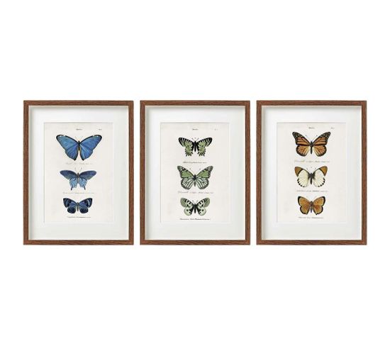Cadre Papillons Colorés 30 X 40 Cm (lot De 3)
