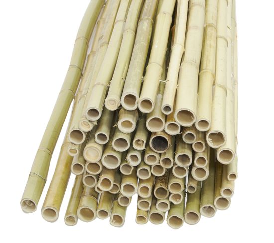 Canisse En Bambou (lot De 3)