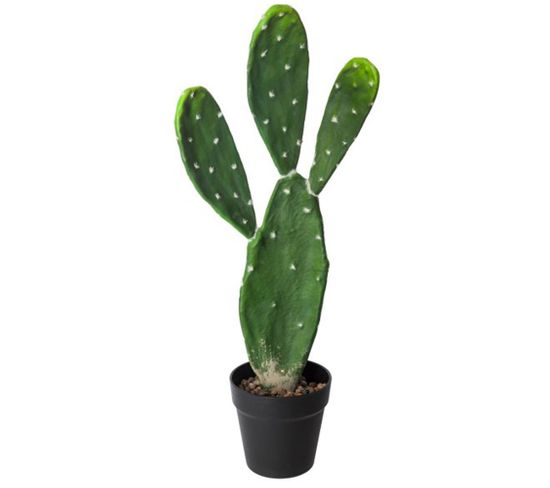 Plante artificielle cactus en polyéthylène, vert - Hauteur : 60 cm