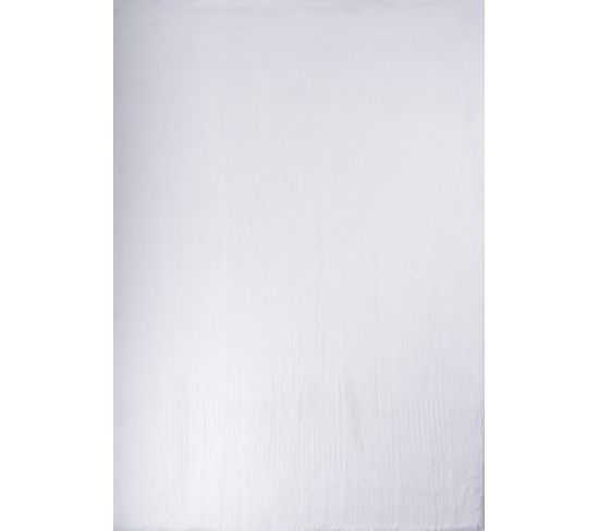 Tapis De Salon Ava Très Doux Blanc 80x150