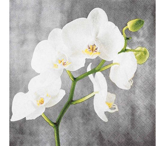 Lot De 20 Serviettes Papier Orchidee