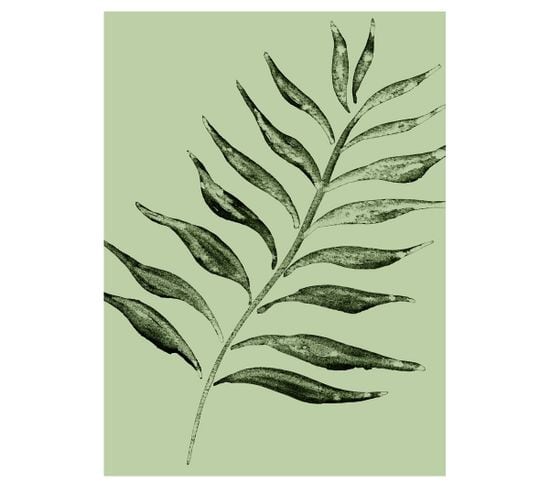 Nature - Signature Poster - Green Leaf - 60x80 Cm