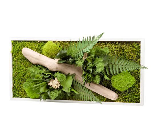 Tableau Végétal Rectangle Nature Avec Plantes Stabilisées 27 x 58 cm