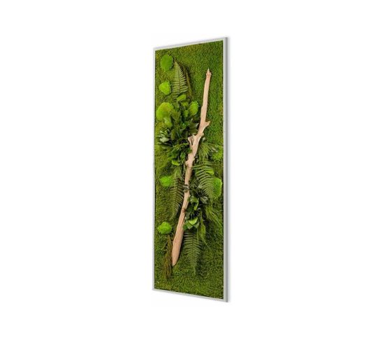Panneau Végétal Nature Avec Plantes Stabilisées 25x115 cm