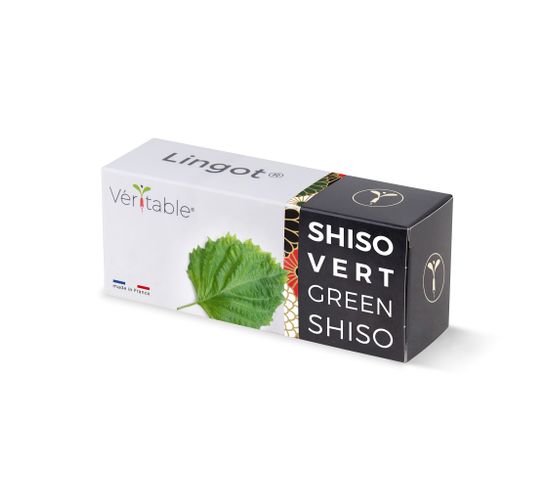 Lingot Shiso Vert Bio - Recharge Prête à L'emploi