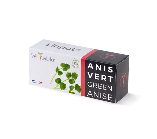 Lingot Anis Vert Bio - Recharge Prête à L'emploi