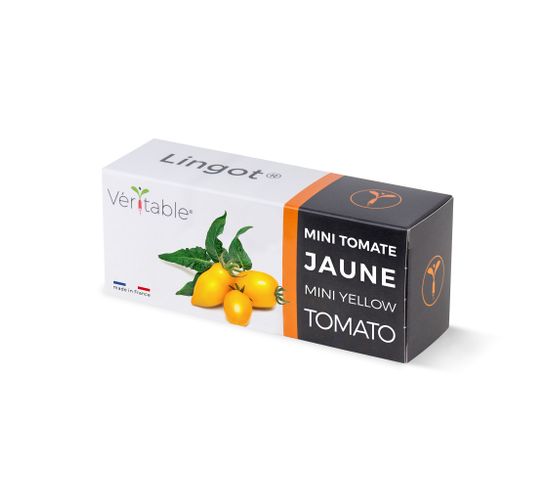 Lingot Mini Tomate Jaune - Recharge Prête à L'emploi