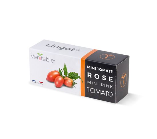 Lingot Mini Tomate Rose - Recharge Prête à L'emploi