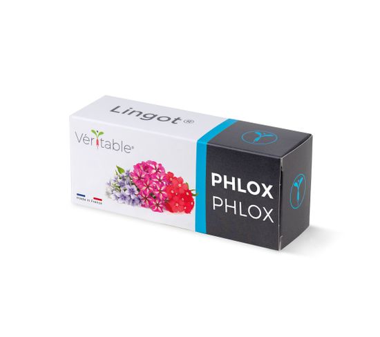 Lingot® Phlox  - Recharge Prête-à-l'emploi