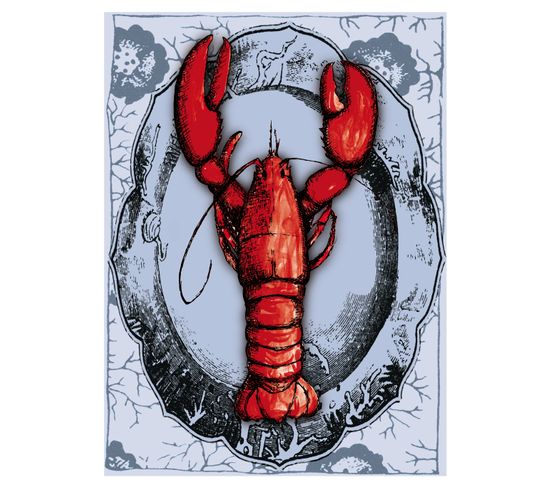Curiosity - Signature Poster - Lobster - 60x80 Cm