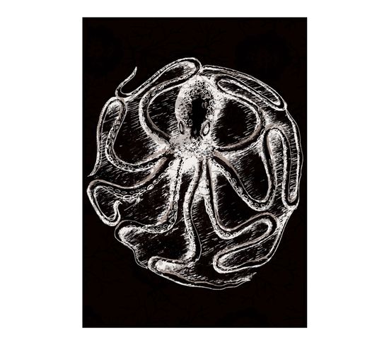 Curiosity - Signature Poster - Octopus - 60x80 Cm