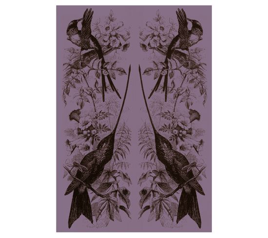 Nature - Signature Poster - Birds - 21x30 Cm