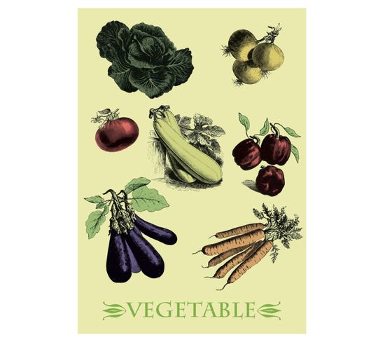 Botanical - Signature Poster - Vegetable - 21x30 Cm