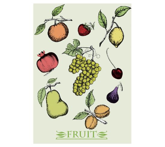 Botanical - Signature Poster - Fruits - 21x30 Cm