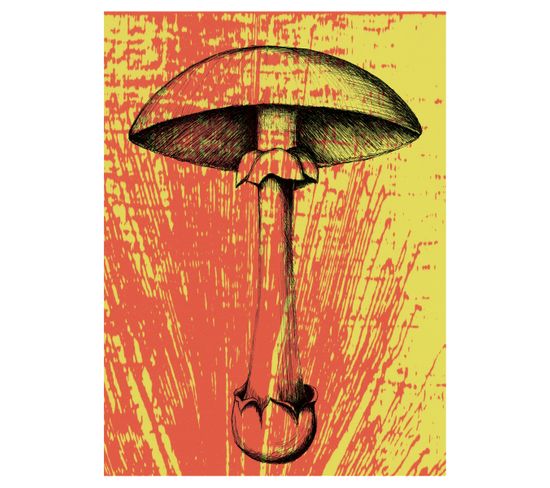 Botanical - Signature Poster - Mushroom_2 - 21x30 Cm