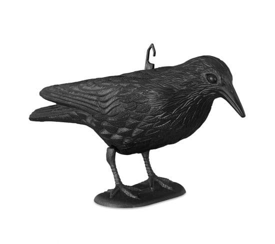 Corbeau De Jardin Anti-pigeon