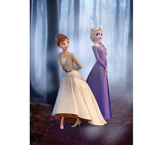 Poster Disney La Reine Des Neiges 2 - Anna Et Elsa Se Promènent En Forêt 40 Cm X 50 Cm
