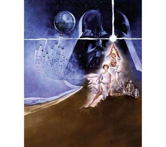 Poster Xxl Panoramique Motif Classique 2 Star Wars 200x250 Cm