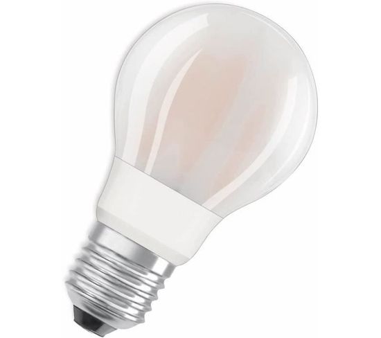 Ampoule LED Standard Verre Dépoli Variable 12w=100 E27 Chaud
