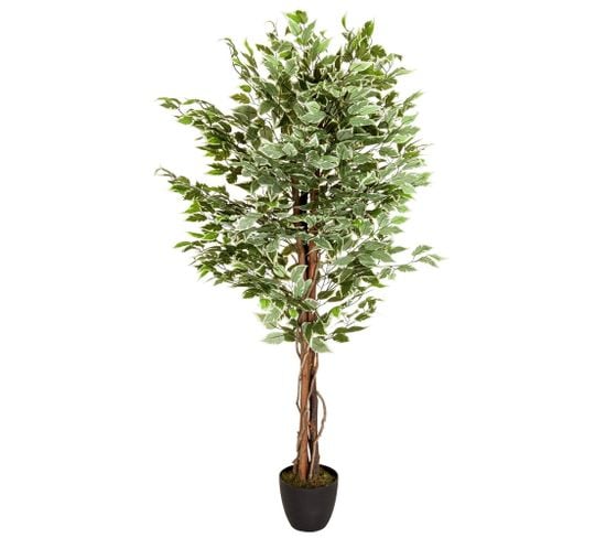 Plante Artificielle Ficus Vert