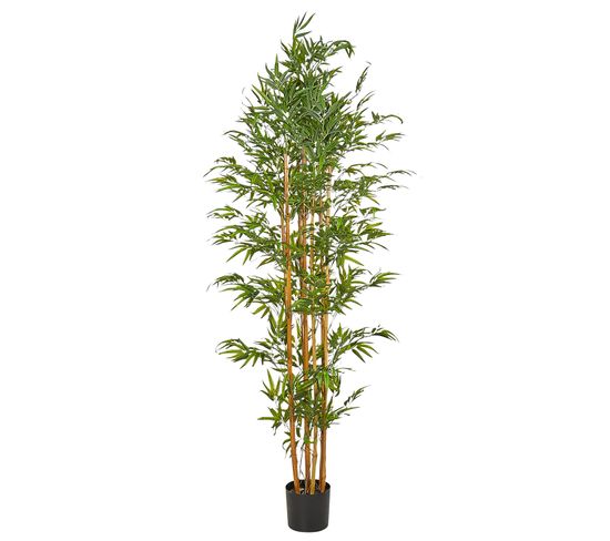 Plante Artificielle 220 Cm Bamboo
