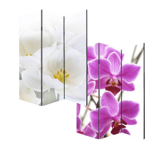 Paravent / Cloison De Séparation M68, 3 Panneaux, 120x180cm, Orchidée