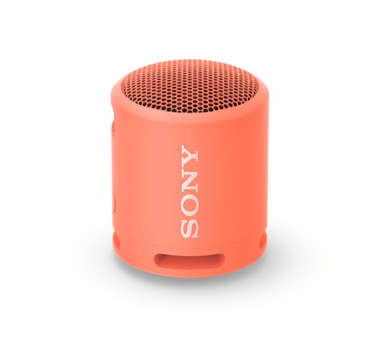 Haut-parleurs Bluetooth Portables Sony Srsxb13 5w