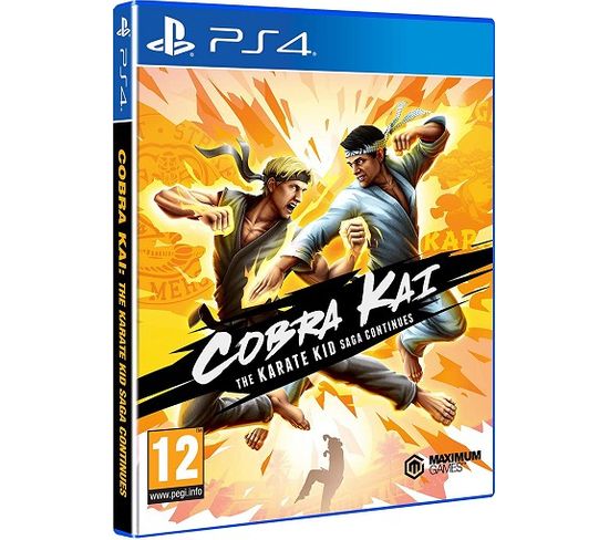 Cobra Kai The Karate Kid Saga Continues PS4
