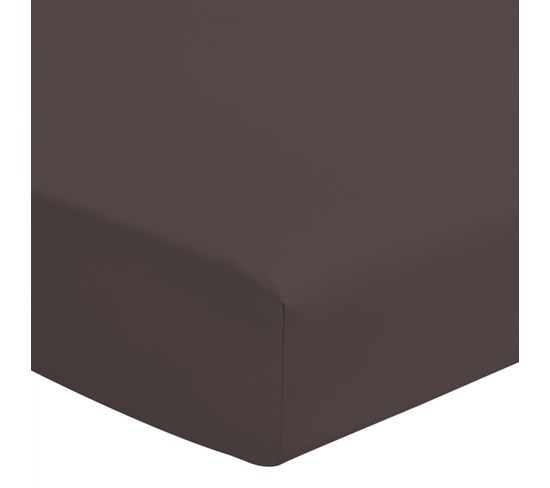 Drap Housse Coloré 100% Coton - Bonnet 25cm - Chocolat - 90x190 Cm