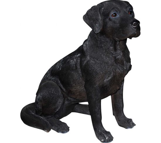 Labrador Assis En Résine 54 Cm Noir